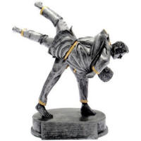 Trofeo judo cm 16