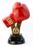 Risultati immagini per GUANTONE BOXE PREMIO
