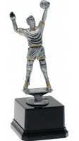 Trofeo volley cm 19
